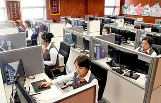 政企民共商，服務再升級——市區政務服務局召開企業咨詢服務專題調研會